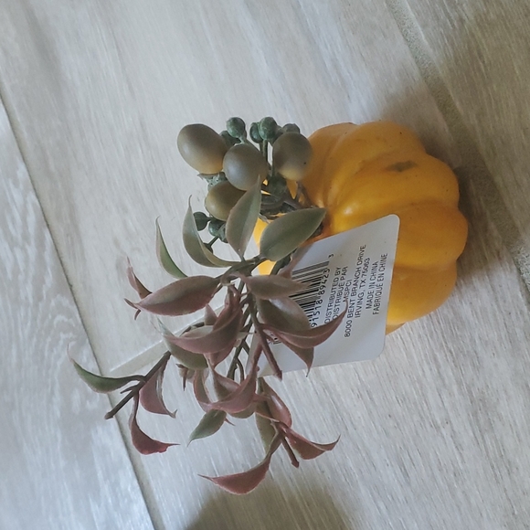 NWT 4 Ashland Mini tabletop Pumpkins - Picture 6 of 12